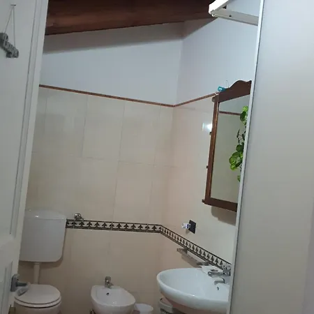 Il Delfino A Bologna Bed & Breakfast Exterior photo