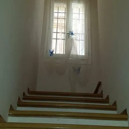 Il Delfino A Bologna Bed & Breakfast Exterior photo